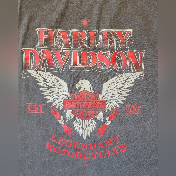 Harley-Davidson Dealer T-Shirt Rare Chi-Town Chicago Tinley Park XL - Picture 9 of 9